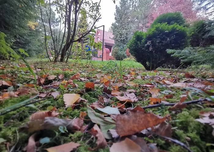 Case de vacanță Idila *